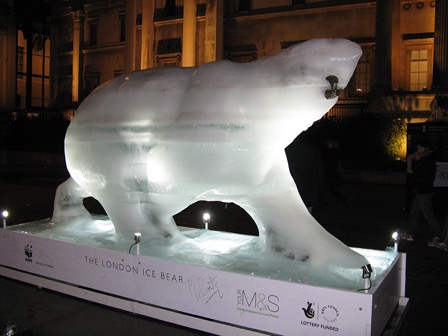 ice_bear.jpg