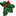 :holly: